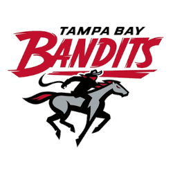 Tampa Bay Bandits Primary Logo 2022 - Present